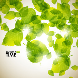 Similar image 5848108