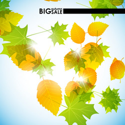 Similar image 5848112