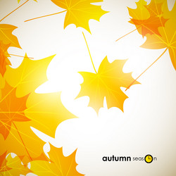 Similar image 5848117