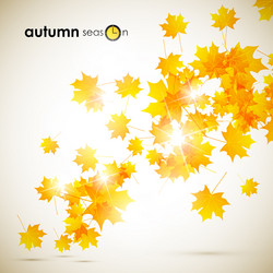 Similar image 5848124