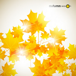 Similar image 5848125