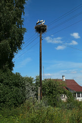 Similar image 5848825