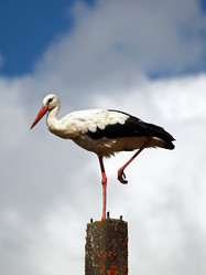 Similar image 5848827