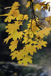 Similar image 5848830