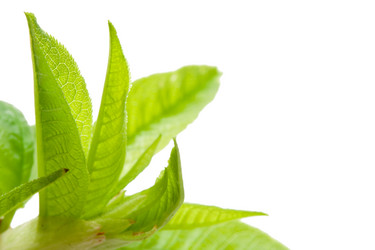 Similar image 5848967