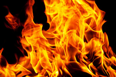 Similar image 5849046