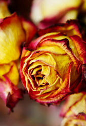 Similar image 5849119