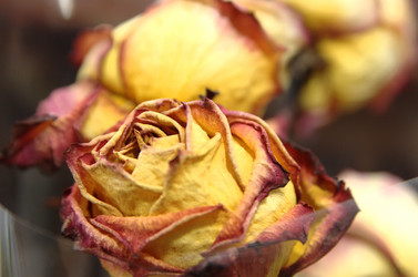 Similar image 5849127