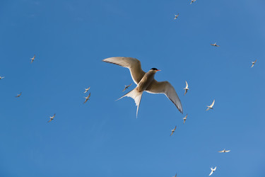 Similar image 5849146