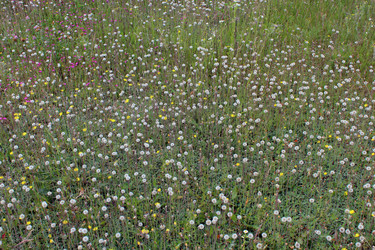 Similar image 5849178