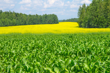 Similar image 5849199