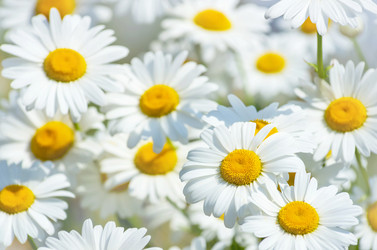 Similar image 5849201