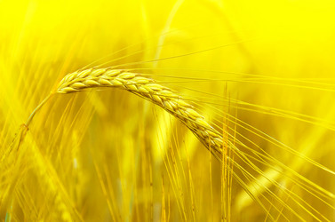 Similar image 5849202