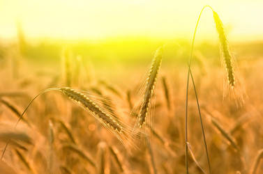 Similar image 5849208