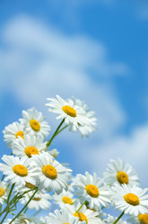 Similar image 5849212