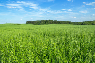 Similar image 5849224