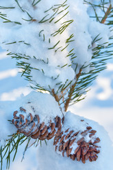 Similar image 5849225