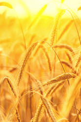 Similar image 5849227