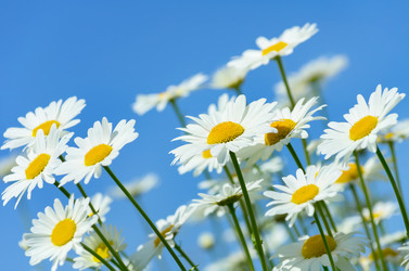 Similar image 5849234