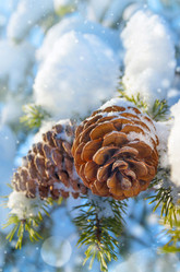 Similar image 5849238