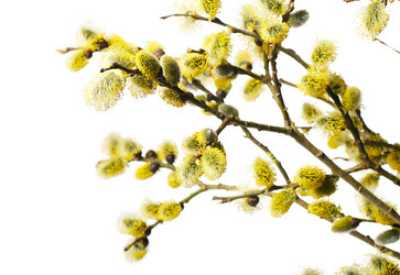 Similar image 5849300