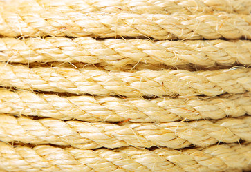 Similar image 5849323