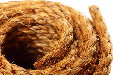 Similar image 5849329