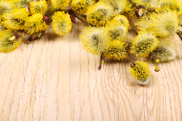 Similar image 5849330