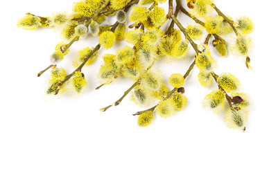 Similar image 5849331