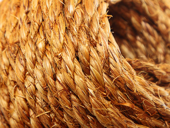 Similar image 5849335