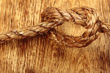 Similar image 5849343