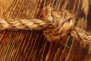 Similar image 5849348