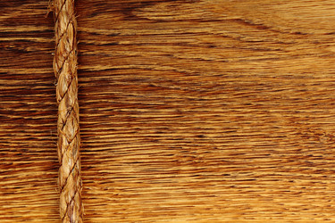 Similar image 5849356