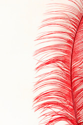 Similar image 5849361