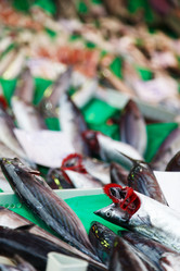 Similar image 5849763