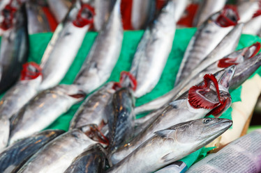 Similar image 5849764