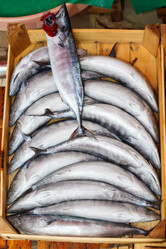 Similar image 5849766