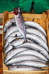 Similar image 5849767