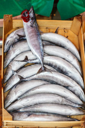 Similar image 5849768