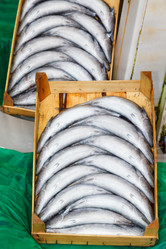 Similar image 5849774