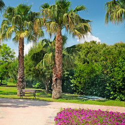 Similar image 5849776