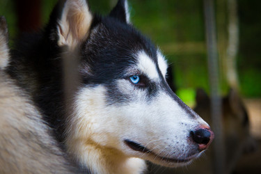 Similar image 5850232