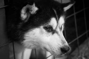 Similar image 5850236