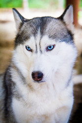 Similar image 5850237