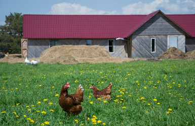 Similar image 5859855