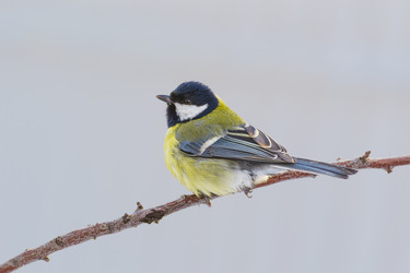 Similar image 5859865