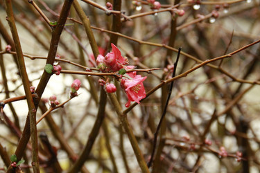 Similar image 5859898