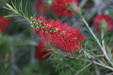 Similar image 5859900