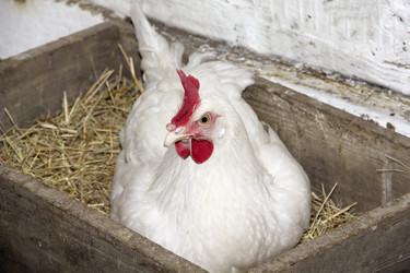 Similar image 5859903