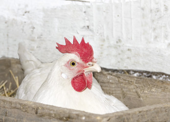 Similar image 5859905